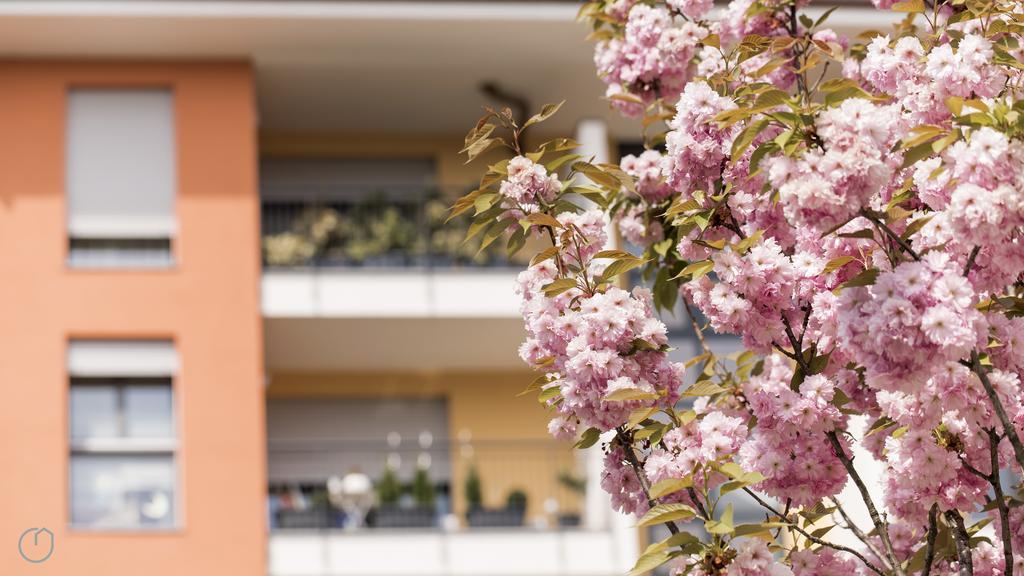 Italianway - Marcantonio Milan Exterior photo